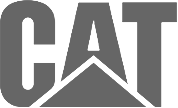 Caterpillar Icon